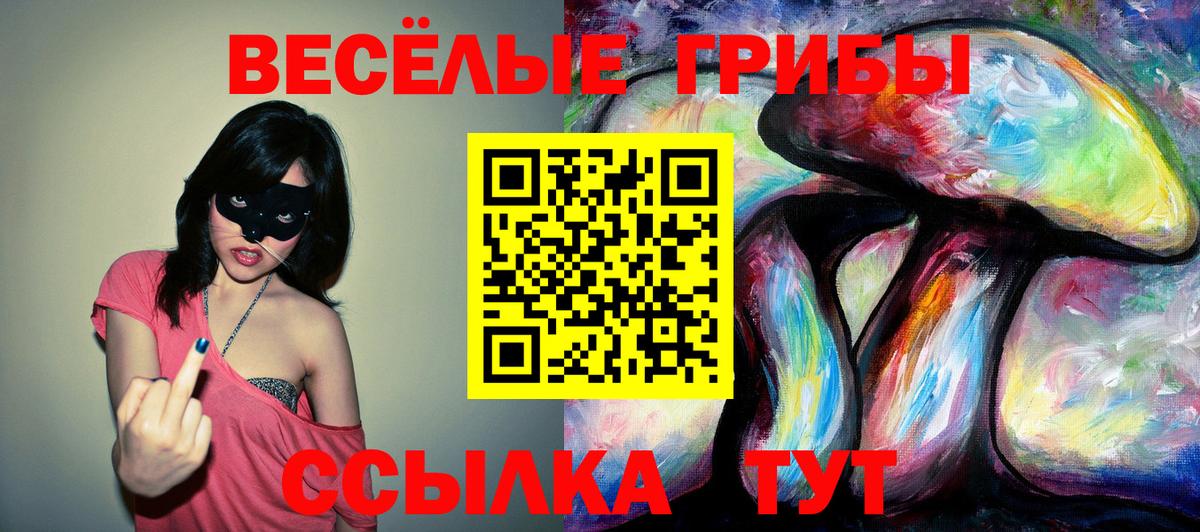 Галлюциногенные грибы GOLDEN TEACHER Муром